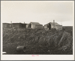 Buttonwillow, California. "Company" cotton pickers camp, after picking season. Some families remain for tag ends of picking and for pulling bolls, or for lack of other winter quarters