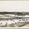 Kern County, California. Migratory workers in winter quarters