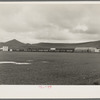 Orange packing shed. Strathmore, California