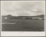 Orange packing shed. Strathmore, California