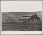 Small dairy farm near Santa Maria, California