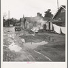 Lindsay, California. Houses inhabited by Mexican citrus workers. Tulare County, California