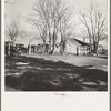 Farmersville, Tulare County. Migrants' winter quarters