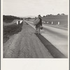 On U.S. 101 near San Luis Obispo, California. Itinerant worker. Not the old "Bindle-Stiff" type