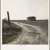 On the plains west of Fresno, California