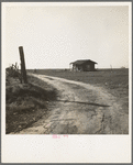 On the plains west of Fresno, California