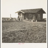 On the plains west of Fresno, California. Family of seven from Oregon dairy ranch which they lost. "We tried to get too big, I guess. Milk cans are all that's left of the dairy. Now pick bolls to make fifty cents to one dollar a day. We can't work every day or maybe we could get by"