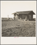 On the plains west of Fresno, California. Family of seven from Oregon dairy ranch which they lost. "We tried to get too big, I guess. Milk cans are all that's left of the dairy. Now pick bolls to make fifty cents to one dollar a day. We can't work every day or maybe we could get by"