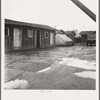 Lindsay, California. Houses inhabited by Mexican citrus workers. (Tulare County)