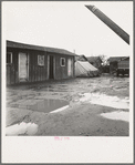 Lindsay, California. Houses inhabited by Mexican citrus workers. (Tulare County)