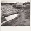 Near Lindsay, California. Citrus workers in winter quarters