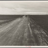 Kern County, California. County road between potato fields
