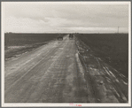 Kern County, California. County road between potato fields