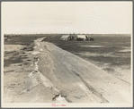 Kern County, California. Camp of two related families seen from U.S. 99. Oil field beyond. Came to California in 1920 from Missouri. Father had job for eight years. Was gang foreman on Los Angeles Aqueduct; laid off two months ago