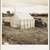 Near Lindsay, California. Citrus workers in winter quarters (Tulare County)