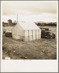 Near Lindsay, California. Citrus workers in winter quarters (Tulare County)