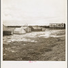 Near Lindsay, California. Citrus workers in winter quarters (Tulare County)