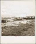 Near Lindsay, California. Citrus workers in winter quarters (Tulare County)