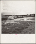 Near Lindsay, California. Citrus workers in winter quarters (Tulare County)