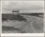Kern County, California. Beside U.S. 99. Large-scale agriculture