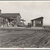 Outskirts of Firebaugh. West side of San Joaquin Valley, California. Six families with twenty-two children live in this house. Cotton workers: "He's good (the boss). He lets us live here without paying rent"