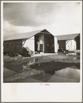 United States government camp for migrants (Farm Security Administration), Farmersville, California. Prefabricated steel dwellings "one step up from a tent" replace the use of tents in the newer California camps