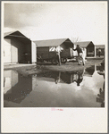 United States government camp for migrants (Farm Security Administration), Farmersville, California. Prefabricated steel dwellings "one step up from a tent" replace the use of tents in the newer California camps