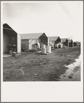 United States government camp for migrants (Farm Security Administration), Farmersville, California. Prefabricated steel dwellings "one step up from a tent" replace the use of tents in the newer California camps