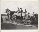 Horse and wagon is still a common means of transportation. Family coming from town on a Saturday afternoon. Southeast Missouri Farms.