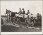 Horse and wagon is still a common means of transportation. Family coming from town on a Saturday afternoon. Southeast Missouri Farms
