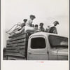 Mississippi Delta, on Mississippi Highway No. 1 between Greenville and Clarksdale. Negro laborer's family being moved from Arkansas to Mississippi by white tenant