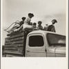 Mississippi Delta, on Mississippi Highway No. 1 between Greenville and Clarksdale. Negro laborer's family being moved from Arkansas to Mississippi by white tenant