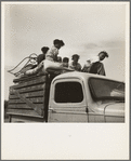 Mississippi Delta, on Mississippi Highway No. 1 between Greenville and Clarksdale. Negro laborer's family being moved from Arkansas to Mississippi by white tenant