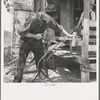 In Arkansas Hills (Ozarks) near Seligman, Missouri, splitting hickory for chair-bottoms. His father before him and his son after him make furniture for a living