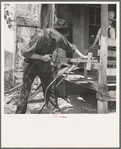 In Arkansas Hills (Ozarks) near Seligman, Missouri, splitting hickory for chair-bottoms. His father before him and his son after him make furniture for a living