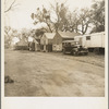 Near Brentwood, California. Winter quarters of migrants. Agricultural laborers