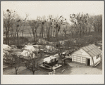 Farm Security Administration (FSA) temporary camp for migrants. Gridley, California. Peak of the season is August