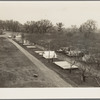 Farm Security Administration (FSA) temporary camp for migrants. Gridley, California. Peak of the season is August