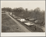 Farm Security Administration (FSA) temporary camp for migrants. Gridley, California. Peak of the season is August