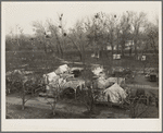Farm Security Administration (FSA) temporary camp for migrants. Gridley, California. Peak of the season is August
