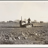 Cultivating potato field. California.