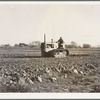 Cultivating potato field. California
