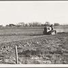 West side of San Joaquin Valley, California. Caterpillar diesel type. Tractor is common in California. Only very large-scale operations can afford this type. Cultivating potato fields.