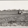 West side of San Joaquin Valley, California. Caterpillar diesel type. Tractor is common in California. Only very large-scale operations can afford this type. Cultivating potato fields
