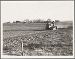 West side of San Joaquin Valley, California. Caterpillar diesel type. Tractor is common in California. Only very large-scale operations can afford this type. Cultivating potato fields