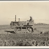 West side of San Joaquin Valley, California. Caterpillar diesel type tractor is common in California. Only very large-scale operations can afford this type. Cultivating potato-fields