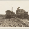 Loading bins of potato planter with fertilizer and seed from trailer at edge of field. Kern County, California