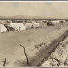 Grower's camp for pickers on large pea ranch along ditch bank. Growers' camps in Imperial Valley and elsewhere have been much improved this year largely because of influence of Farm Security Administion (FSA) migrant camp program.  Near Calipatria, Imperial Valley, California