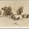Near Holtville, Imperial Valley, California. Migratory labor housing during carrot harvest. This field owned by proprietor of adjoining grocery and general store who allows workers to camp here rent-free