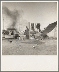 Living conditions for migratory laborers in private auto camp. Tent space fifty cents per week. Calipatria, Imperial County